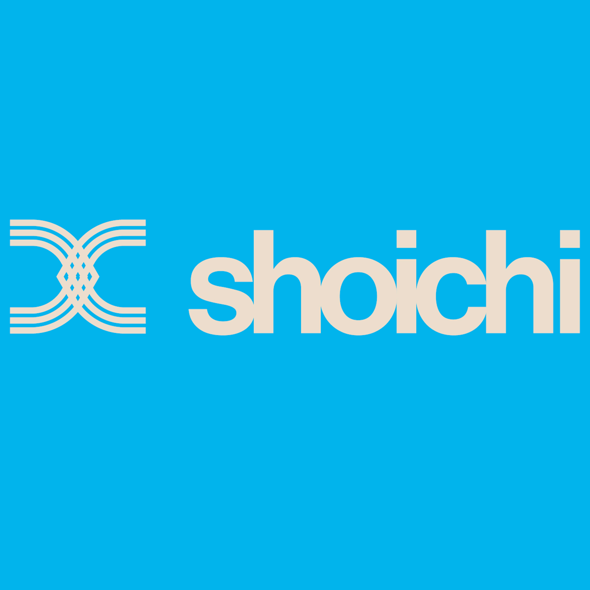 shoichi Co., Ltd.